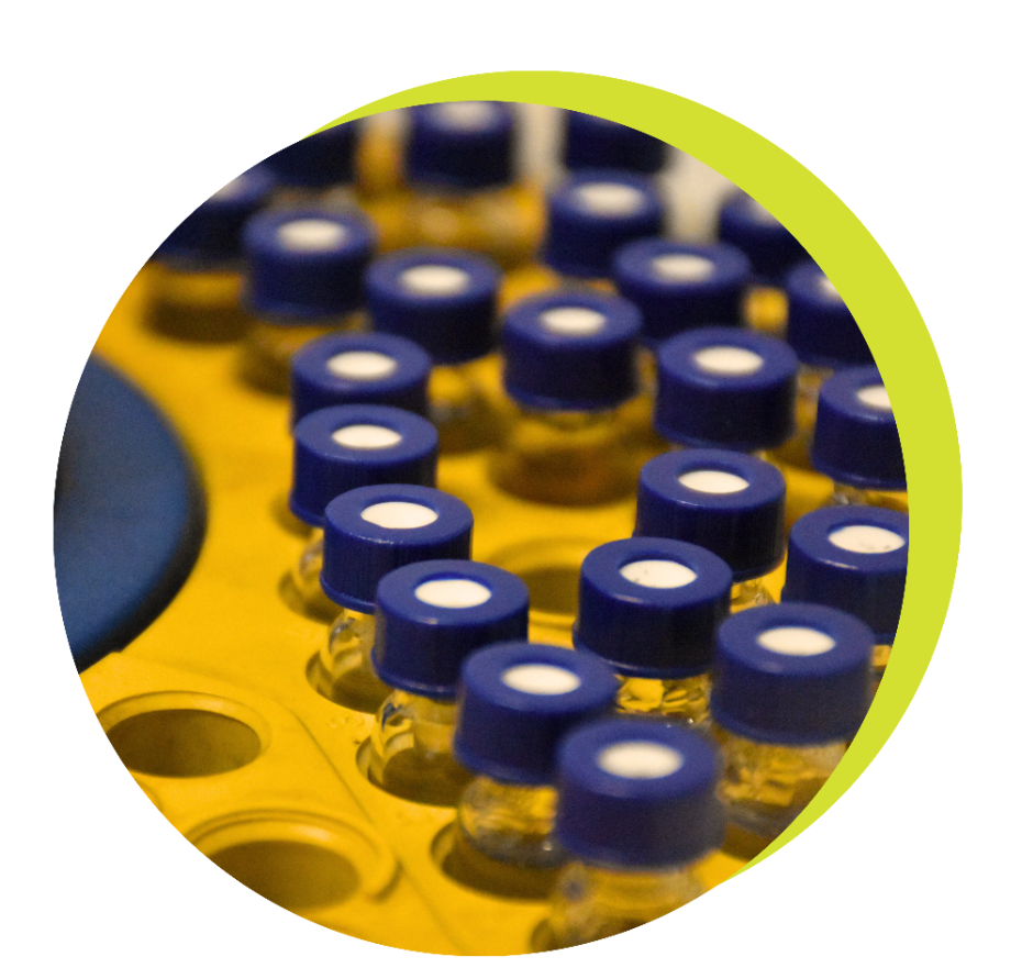Services and Facilities Services and Facilities