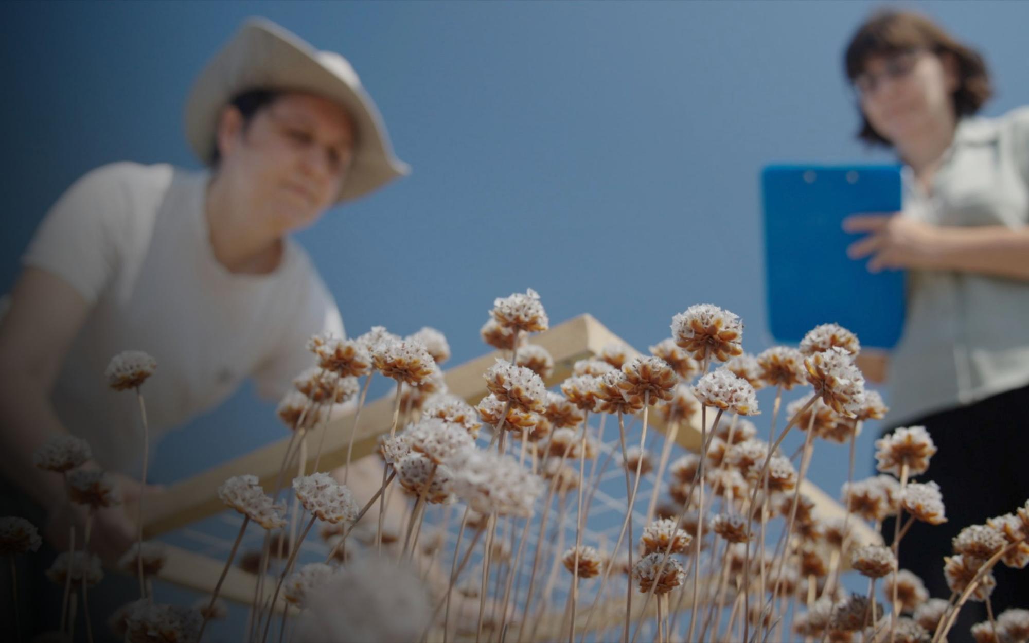 Lisbon to host world’s largest conference on ecosystem restoration in 2027