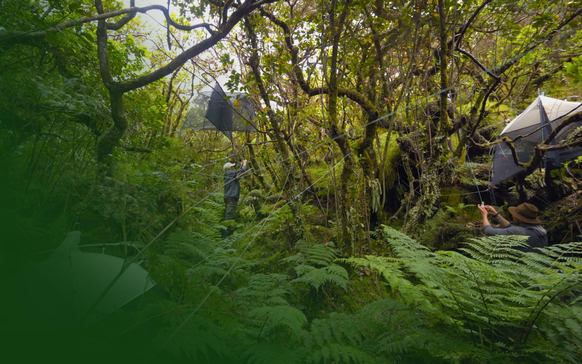 Gems of the North Atlantic: CE3C in the Azores