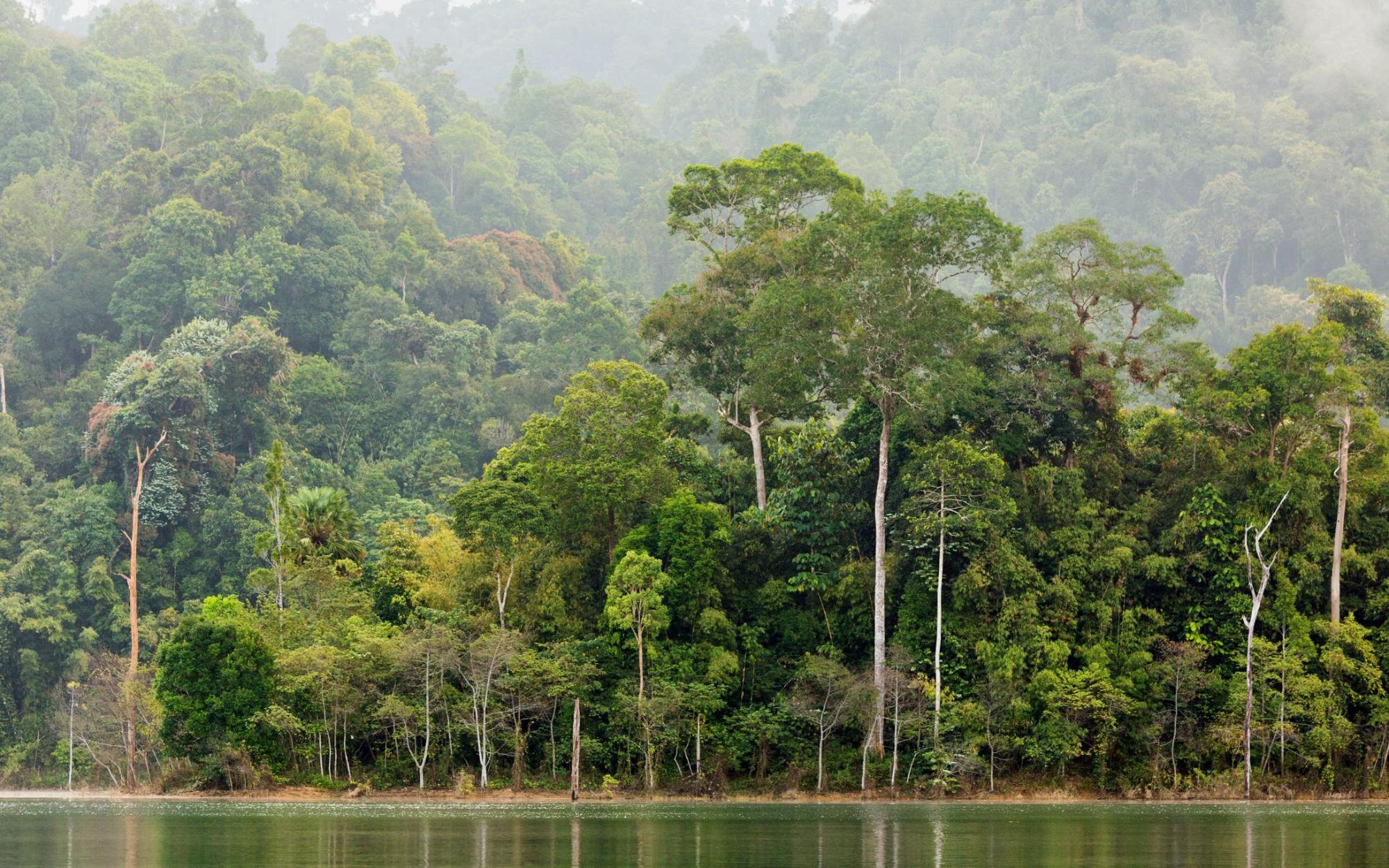 Registration open for the Tropical Summit