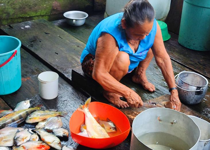 The diet of Amazonian river communities is changing: what does this mean?