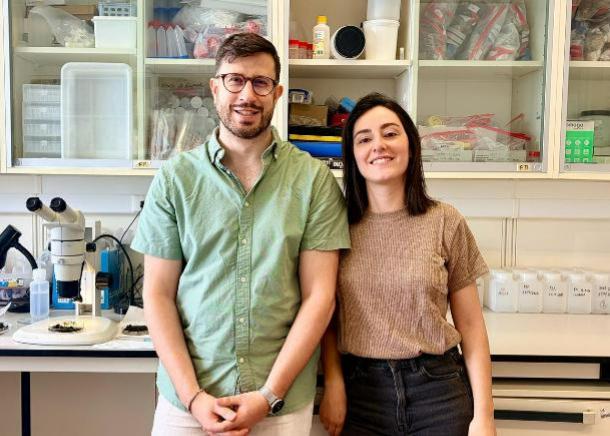 CE3C researchers reveal the limits of amphibians’ dietary adaptation to climate change
