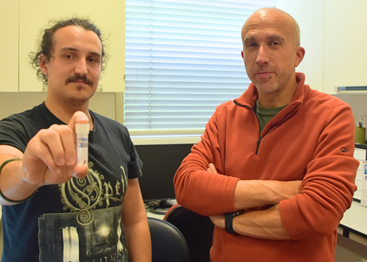 Equipa liderada por Pedro Cardoso descobre seis novas espécies de aranhas