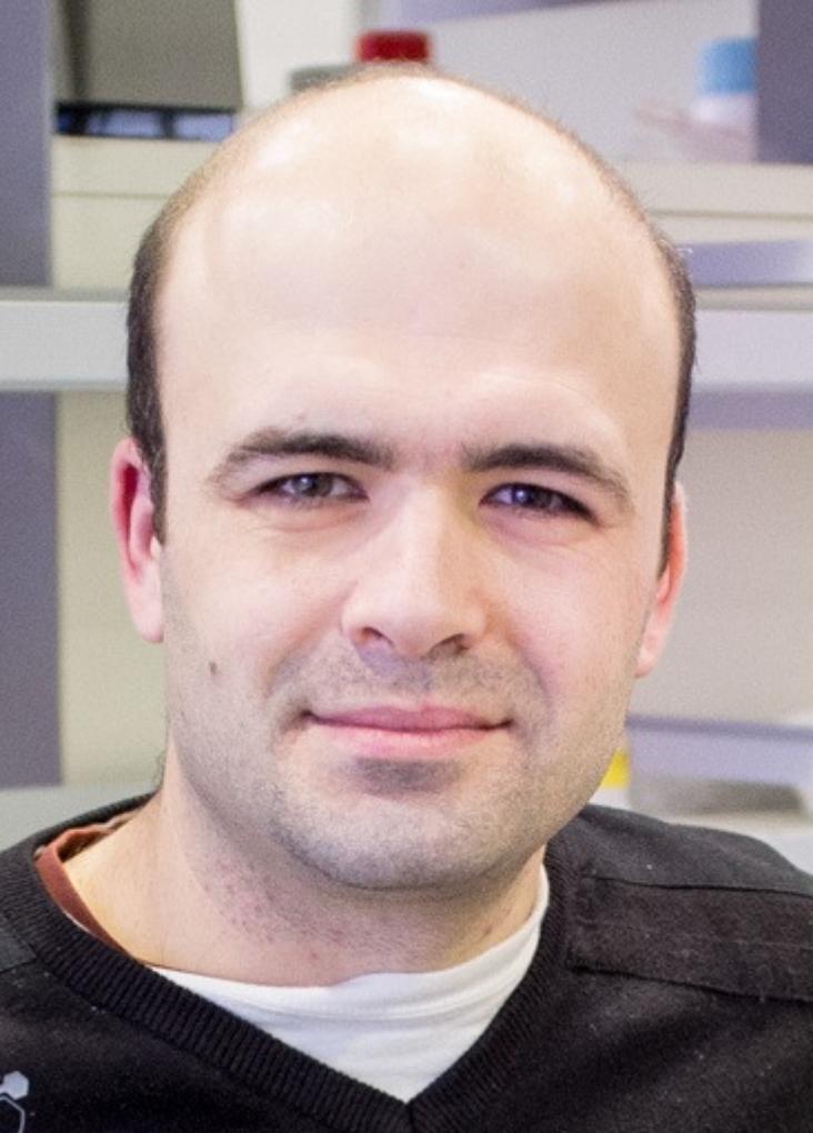 Ivo M. Chelo