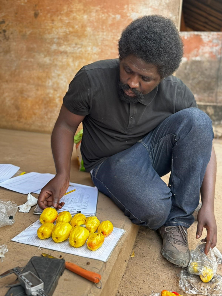 Amidu Silva Barai