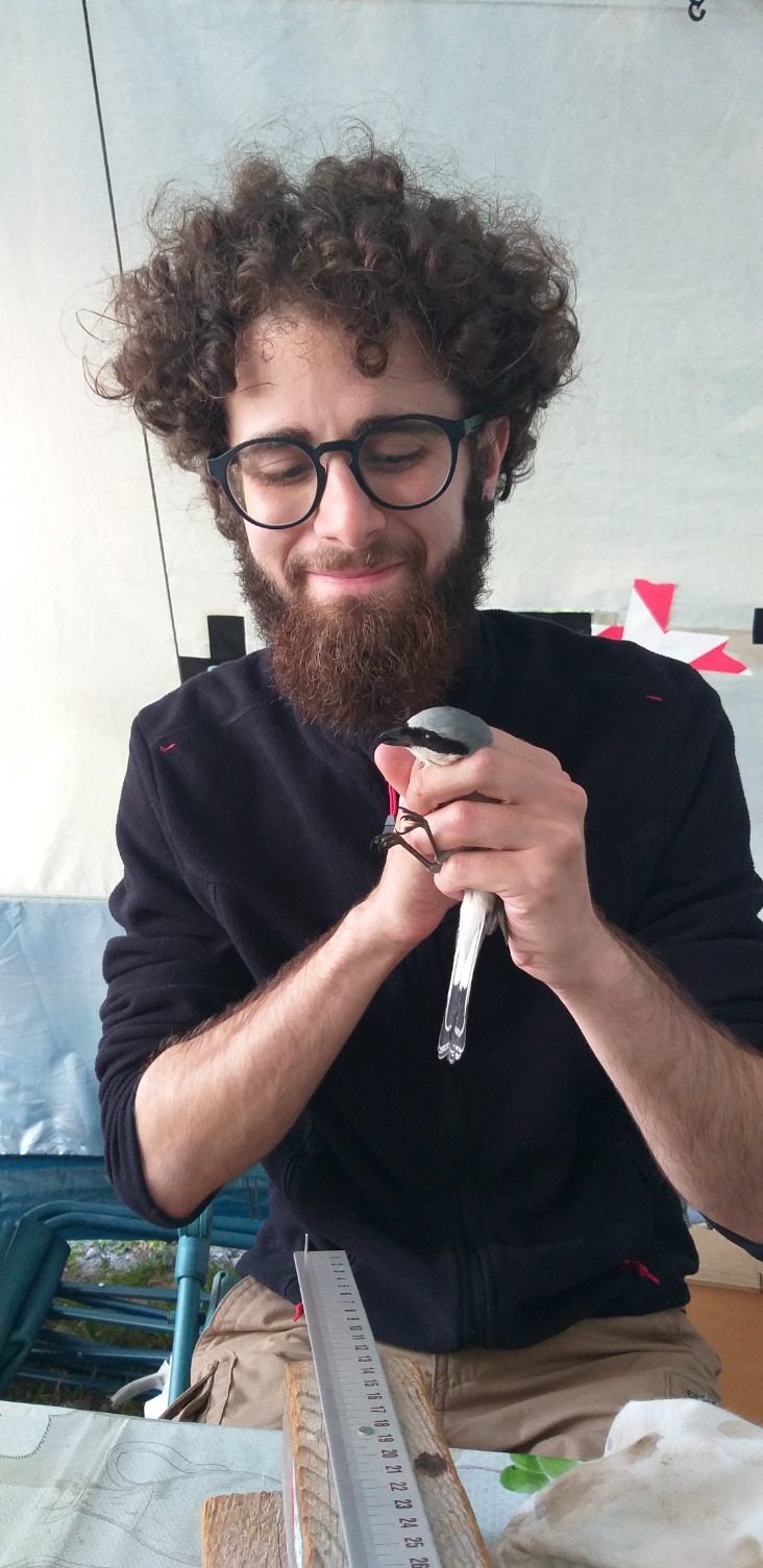 Luca Marinoni