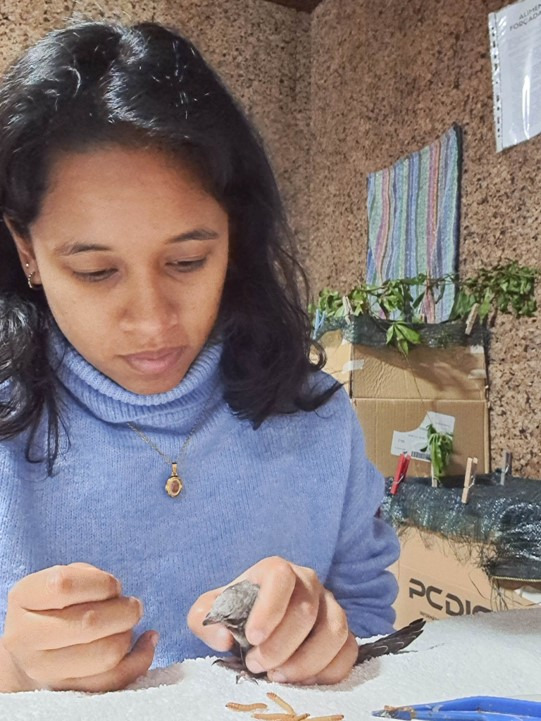 Pierina Mendoza Yengle