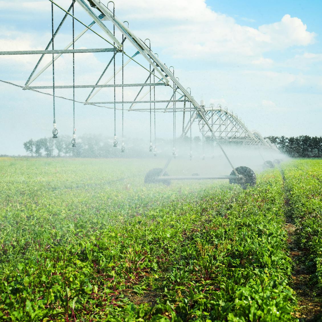 Gestão dos recursos hídricos