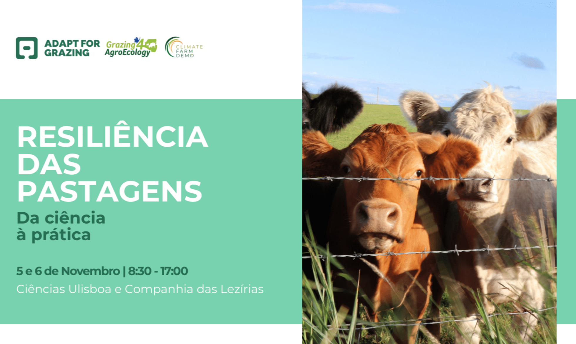 Resiliência das pastagens: da ciência à prática - conferência final do projeto Adapt for Grazing