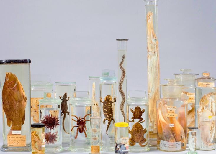 Museum Techniques in the 21st Century 2025/2026