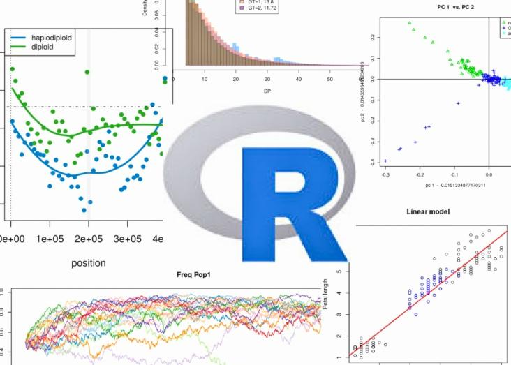 Advanced R for Ecology and Evolutionary Biology 2025/2026