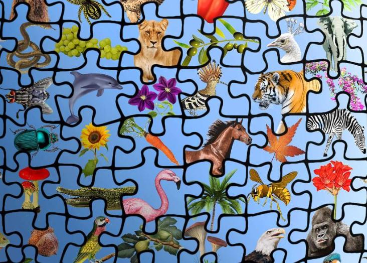 Measuring Biodiversity: How to get data, assess its quality and measure different aspects of diversity 2025/2026