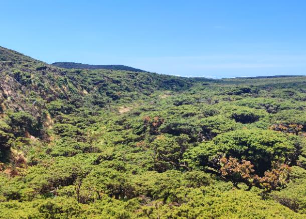 Before Man, After Man: CE3C Researchers Help Uncover How We Have Changed the World’s Islands