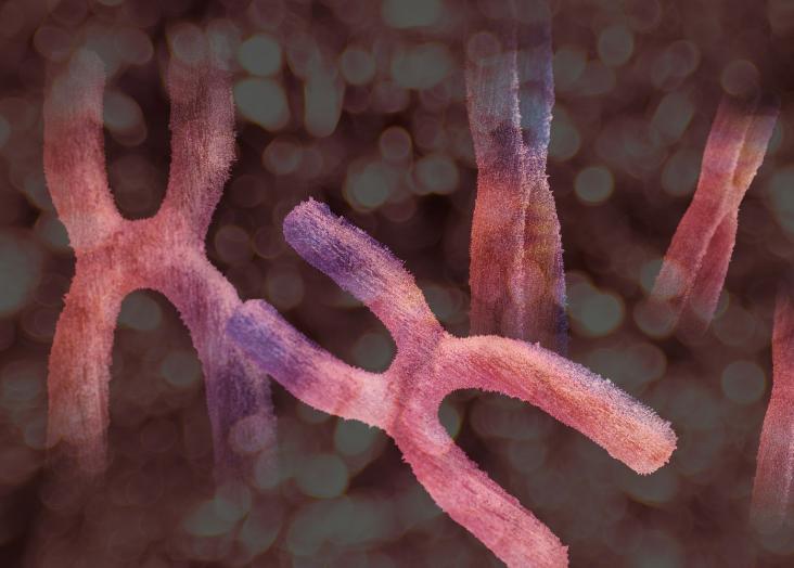 Exploring the role of transposable elements to sex gap in longevity