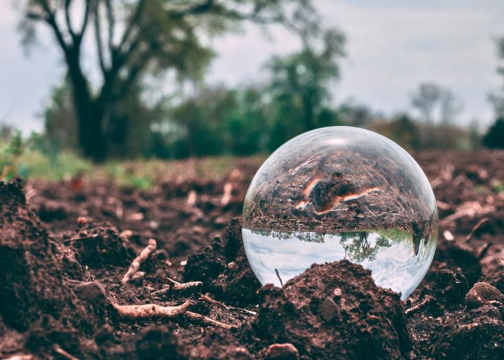 Soil ecology and ecosystem services 2025/2026