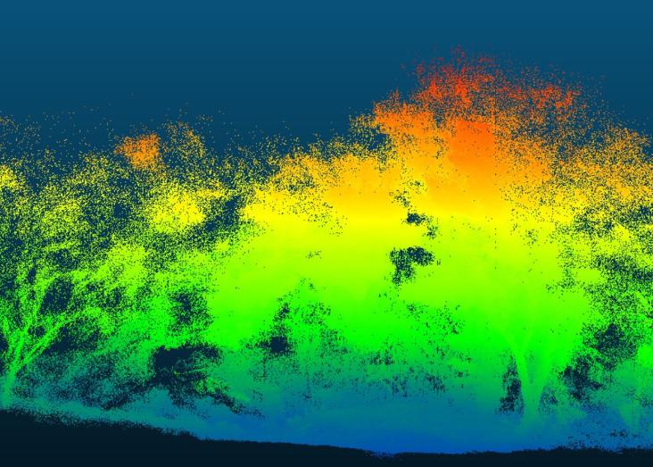 Remote sensing of the environment: a practical course 2025/2026