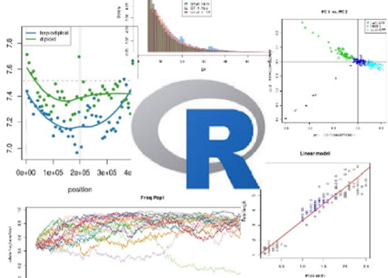Advanced R for Ecology and Evolutionary Biology 2026-2027