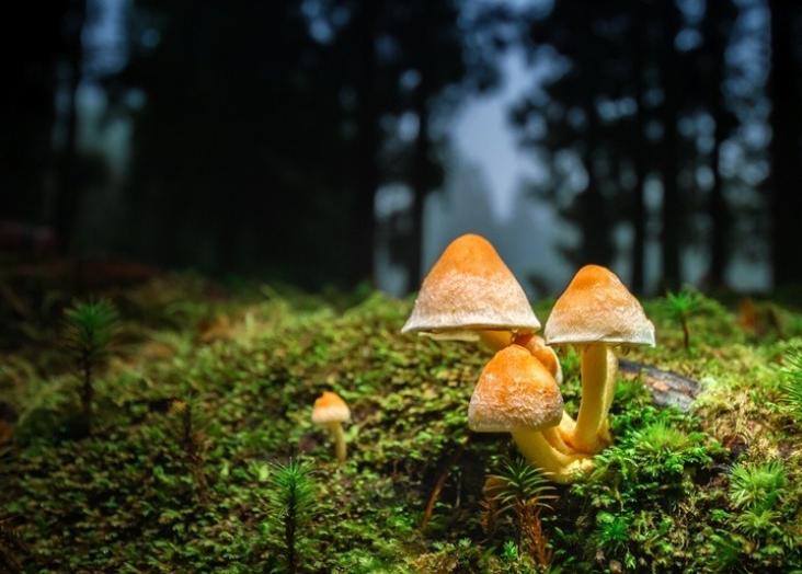 CE3C  SEMINAR I - 2024-2025