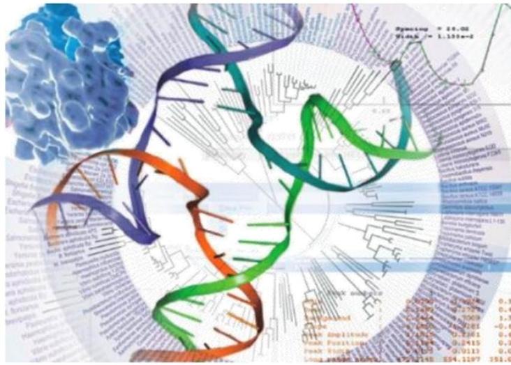 Bioinformatics analysis of biological sequences — from sequence to structure 2020-2021