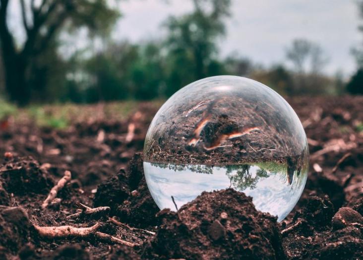 Soil ecology and ecosystem services 2023-2024