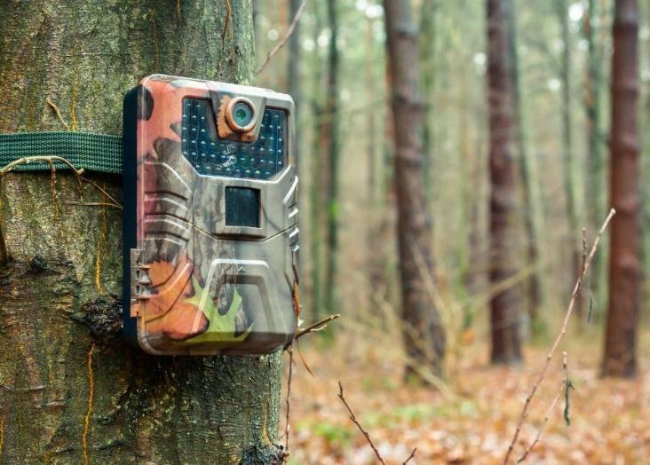 Use of technology in field biology 2023-2024