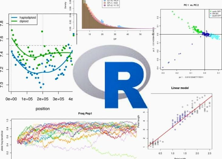 Advanced R for Ecology and Evolutionary Biology 2023-2024