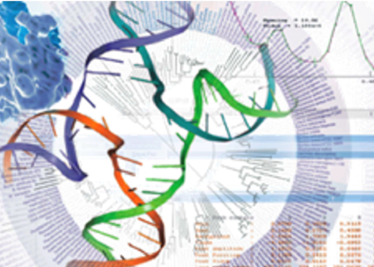 Bioinformatics analysis of biological sequences 2026-2027