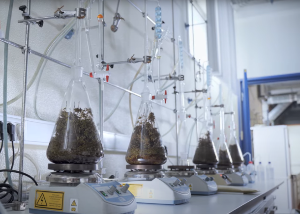 Laboratório de Biotecnologia Vegetal
