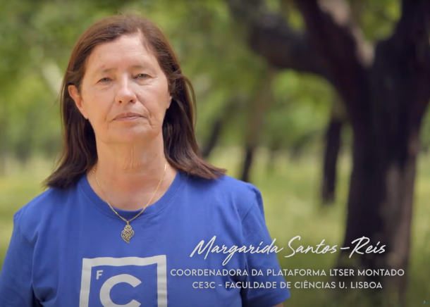 O sítio LTsER Montado