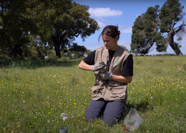 Os serviços de ecossistema das pastagens permanentes geridas