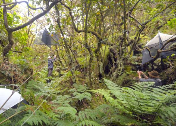Jóias do Atlântico Norte: o CE3C nos Açores