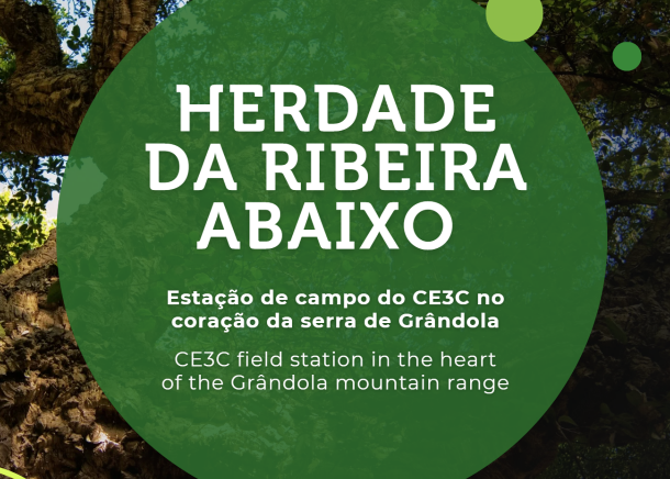 Herdade da Ribeira Abaixo - Estação de campo do CE3C no coração da serra de Grândola
