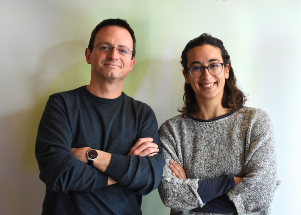 Estudo internacional mostra que soluções verdes podem reduzir até 40% do stress térmico urbano