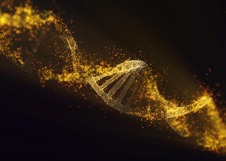 The importance of being (un)faithful: a verbal approach to the evolution and importance of (heritable) phenotypic noise The importance of being (un)faithful: a verbal approach to the evolution and importance of (heritable) phenotypic noise