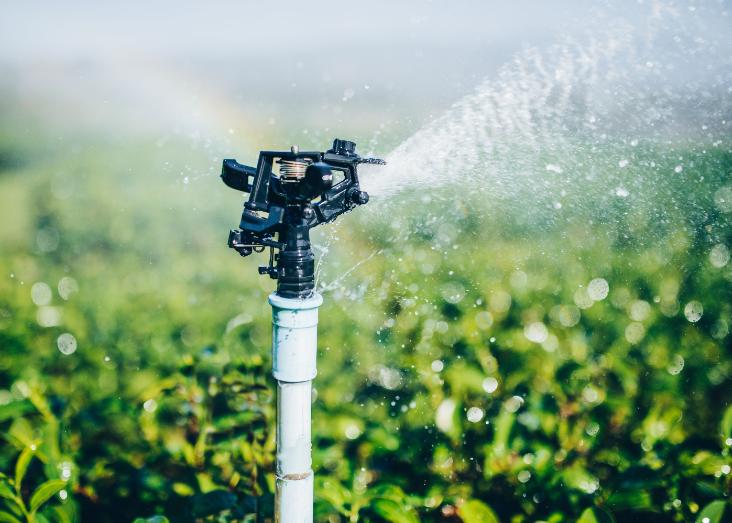 Climate change and some practical aspects related to irrigated agriculture in Bulgaria Climate change and some practical aspects related to irrigated agriculture in Bulgaria