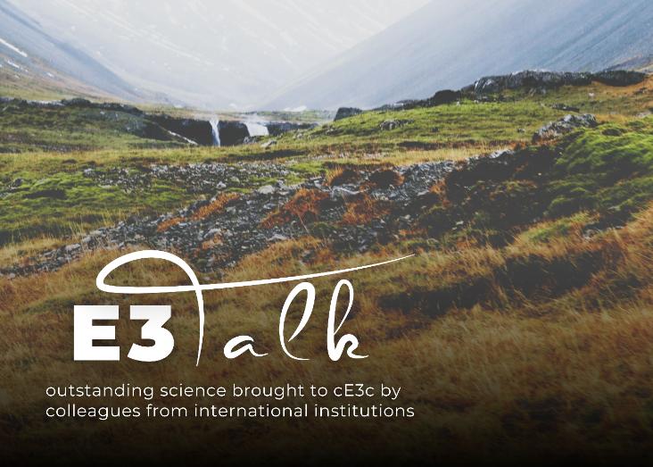 Ecosystem restoration in Iceland: The importance of primary succession