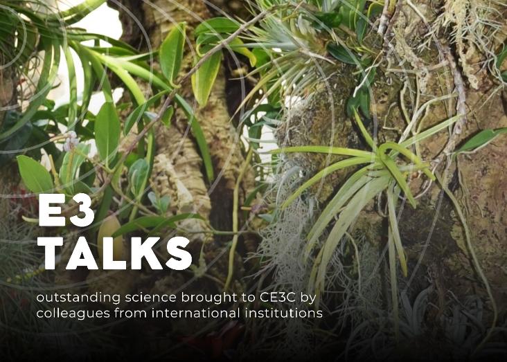 Not all canopies are equal: bromeliad functional groups and contrasting adaptations to life in the c﻿anop﻿y