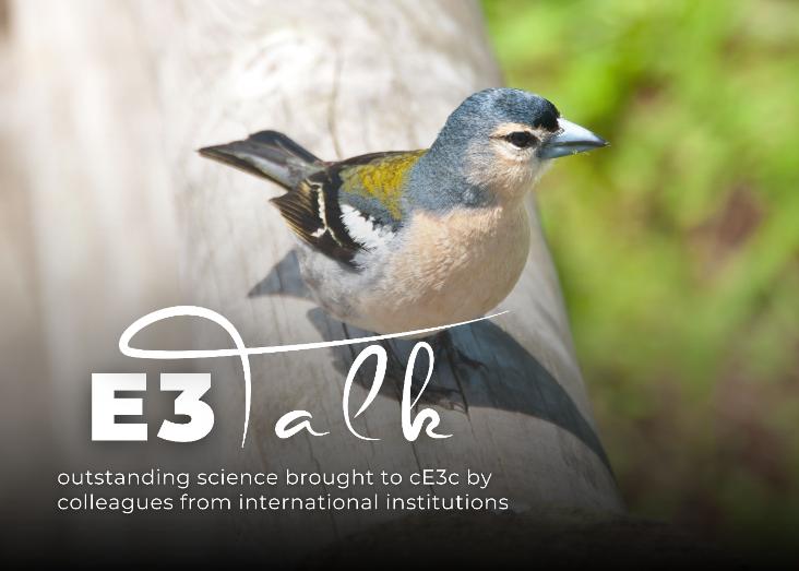 Assessing the wider implications of species extinctions: island birds and beyond