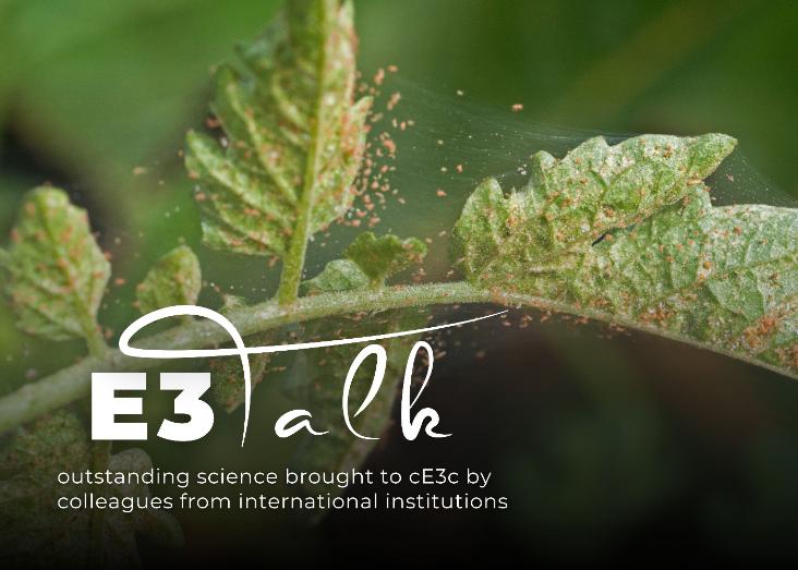 The evolution of life histories in metapopulations