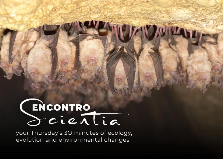 Bats and climate change: what do we know and what can we do about it? Bats and climate change: what do we know and what can we do about it?