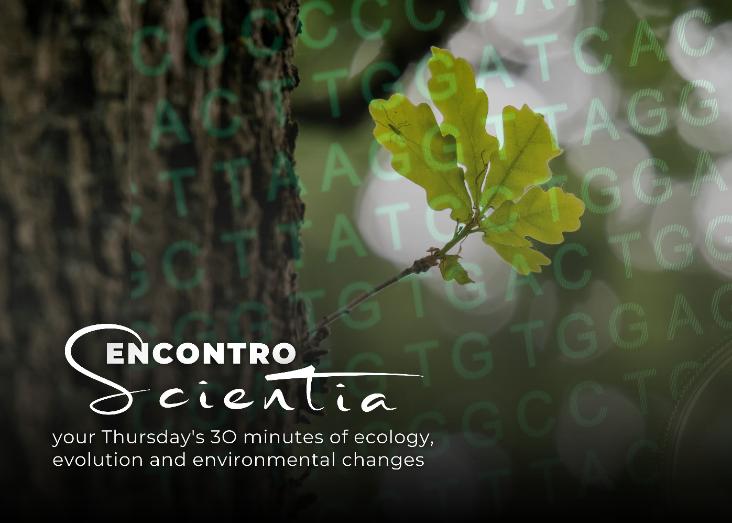Forecasting species response to climate change using genomic prediction: advances and limitations. Examples from the Mediterranean Oaks Forecasting species response to climate change using genomic prediction: advances and limitations. Examples from the Mediterranean Oaks