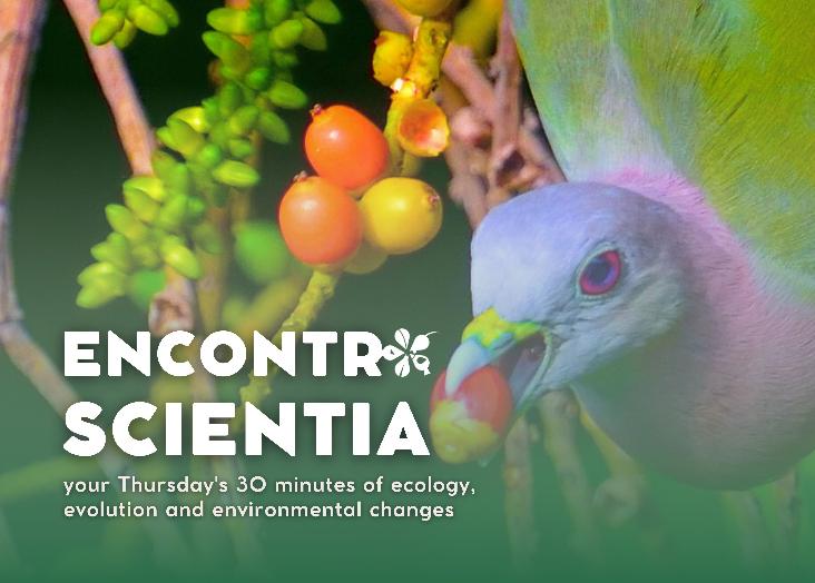 Building scientific evidence for terrestrial conservation in São Tomé and Príncipe