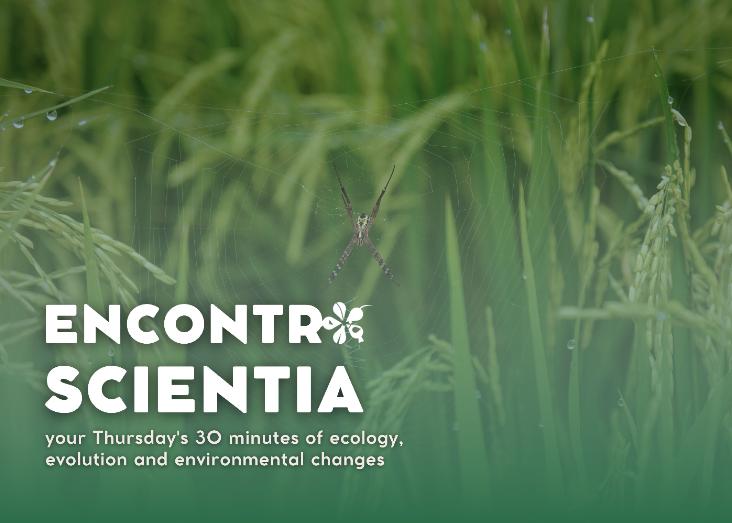 Effects of short-term increased temperature on pasture-associated arthropod communities in the Azores Effects of short-term increased temperature on pasture-associated arthropod communities in the Azores