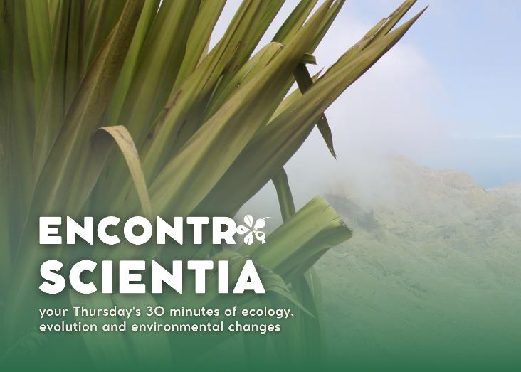 Spatiotemporal diversity patterns of grasses in tropical dry insular ecosystems