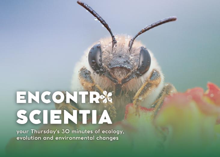 Impact of small-scale farming landscapes on neutral and adaptive genetic variability of Iberian wild bees Impact of small-scale farming landscapes on neutral and adaptive genetic variability of Iberian wild bees