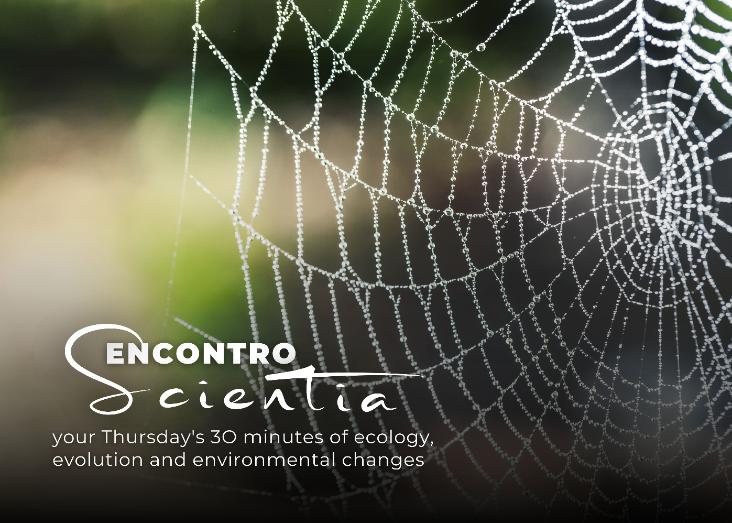 Arthropod traits as proxies for abundance trends in the Azorean Islands
