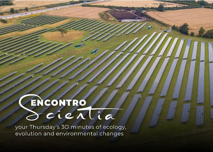 Renewables and Biodiversity: from country-level smart siting areas to local scale effects
