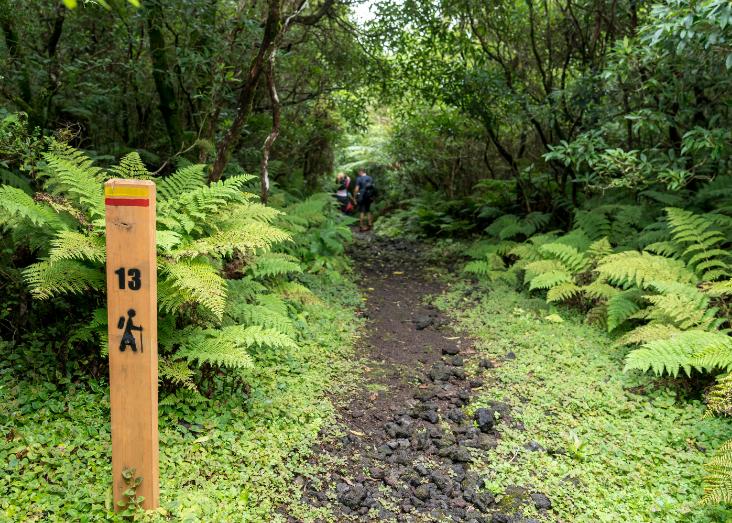 Azores Lighthouse Pilot: Janela do Inferno as a nature-based solution