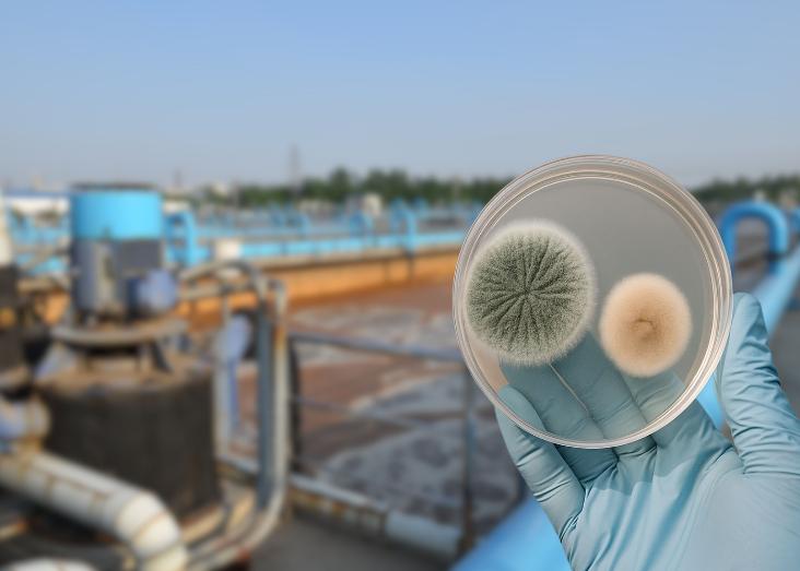 Environmental Water as a Source of Infections