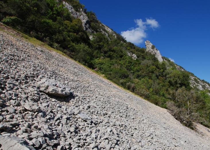 Scree slopes of Portugal, a climatic refuge for invertebrates Scree slopes of Portugal, a climatic refuge for invertebrates